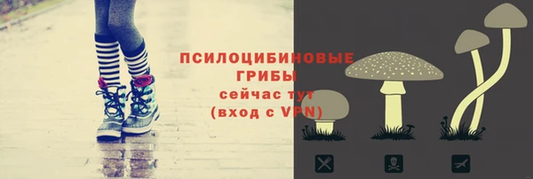 ГАЛЛЮЦИНОГЕННЫЕ ГРИБЫ Верхний Тагил