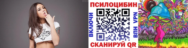 Псилоцибиновые грибы Cubensis  Череповец 